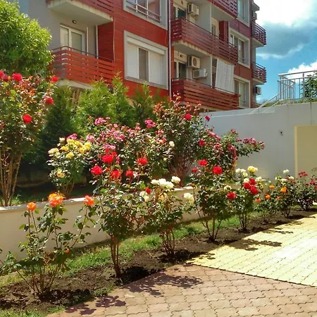 Shterevi *