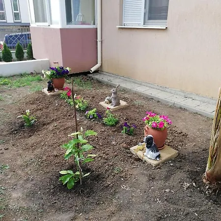 Shterevi Apartment